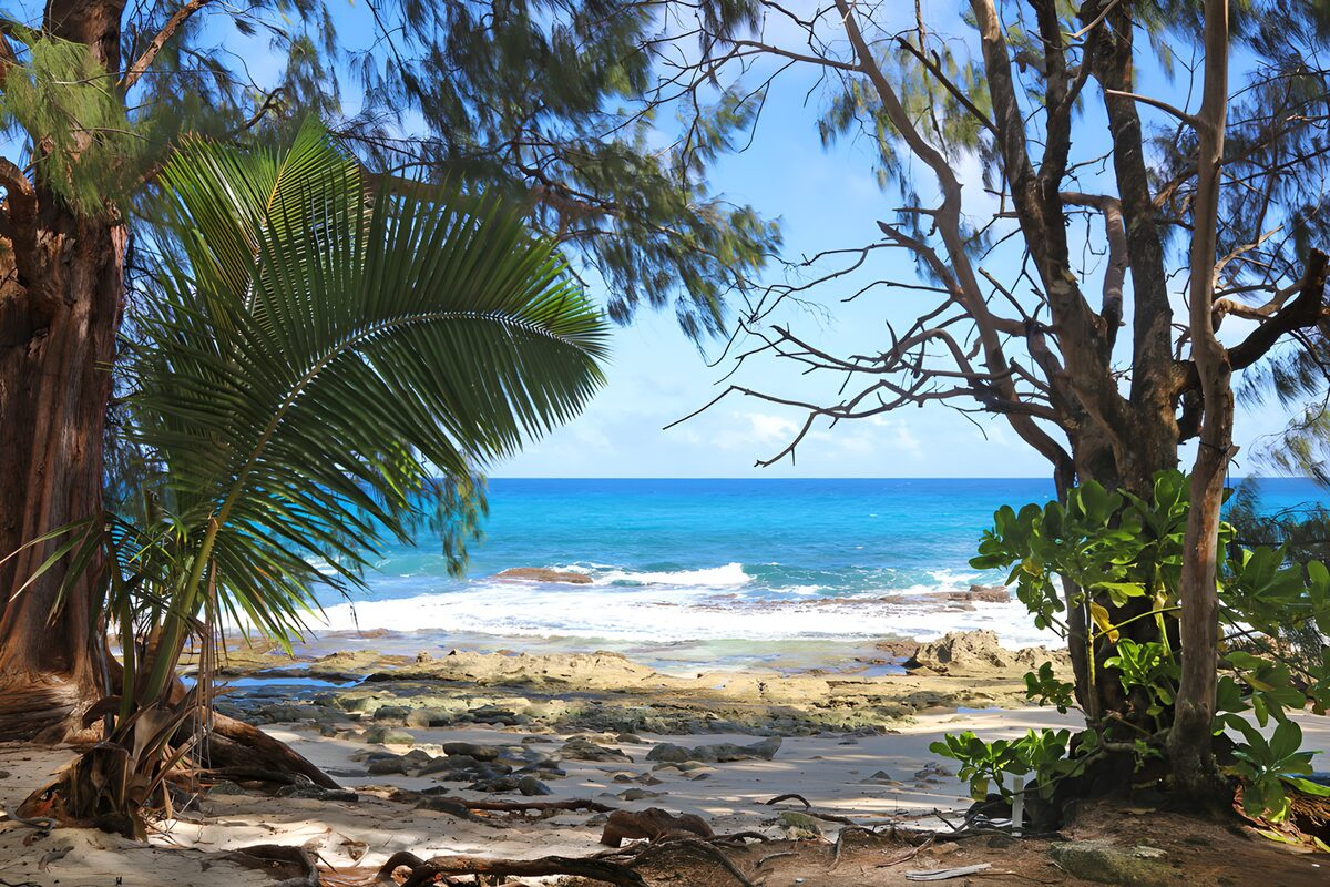 OCUK67371: Tranquil Coastal Paradise