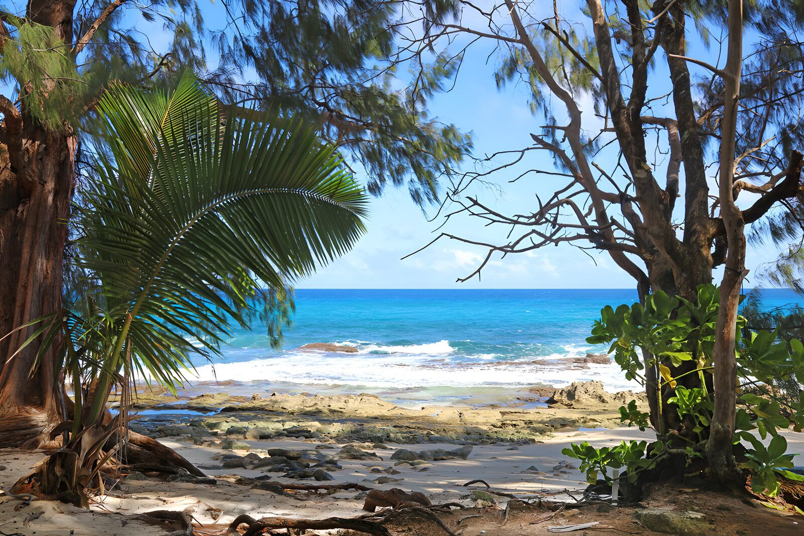 OCUK67371: Tranquil Coastal Paradise