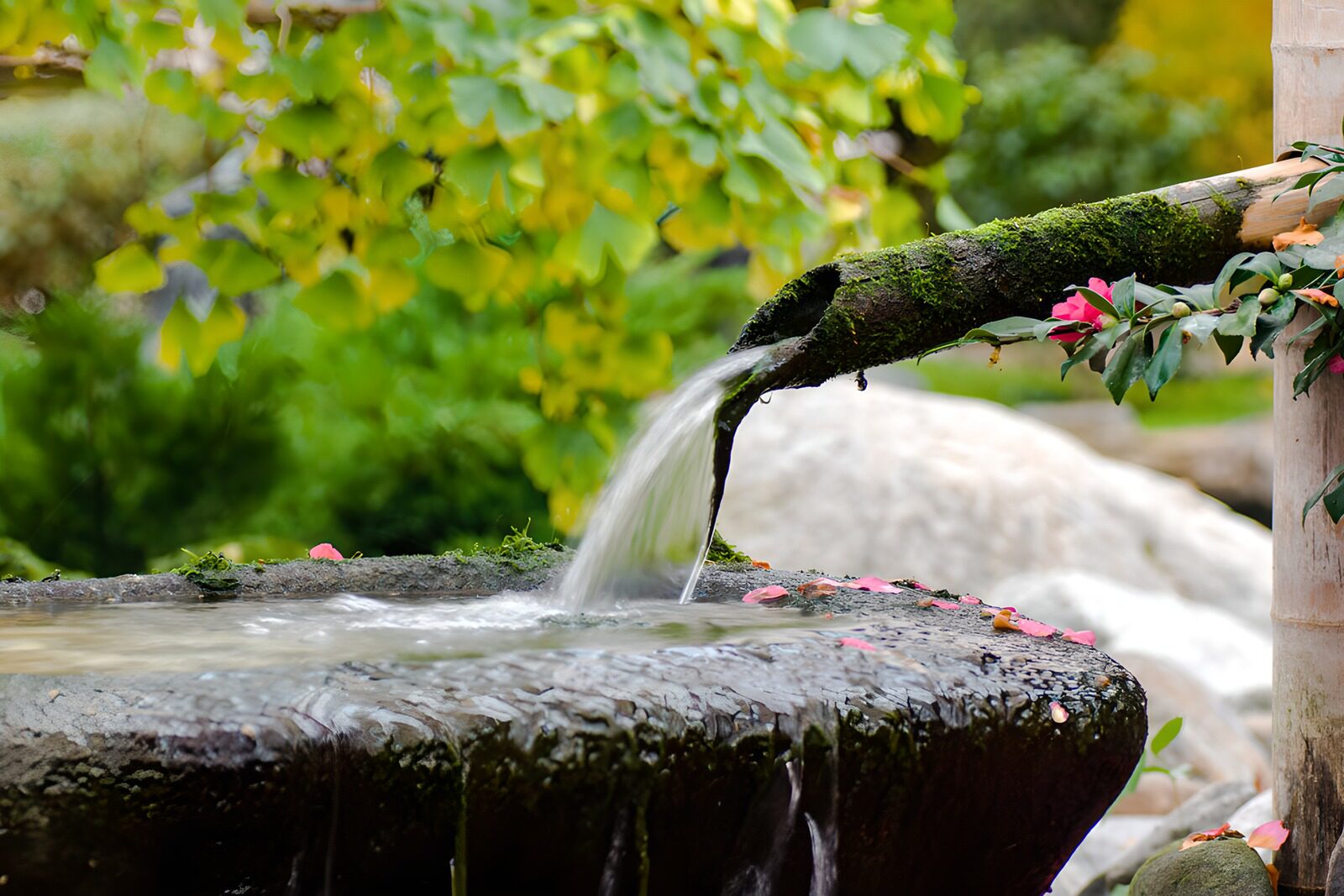 OCUK25136: Peaceful Water Flow in Nature