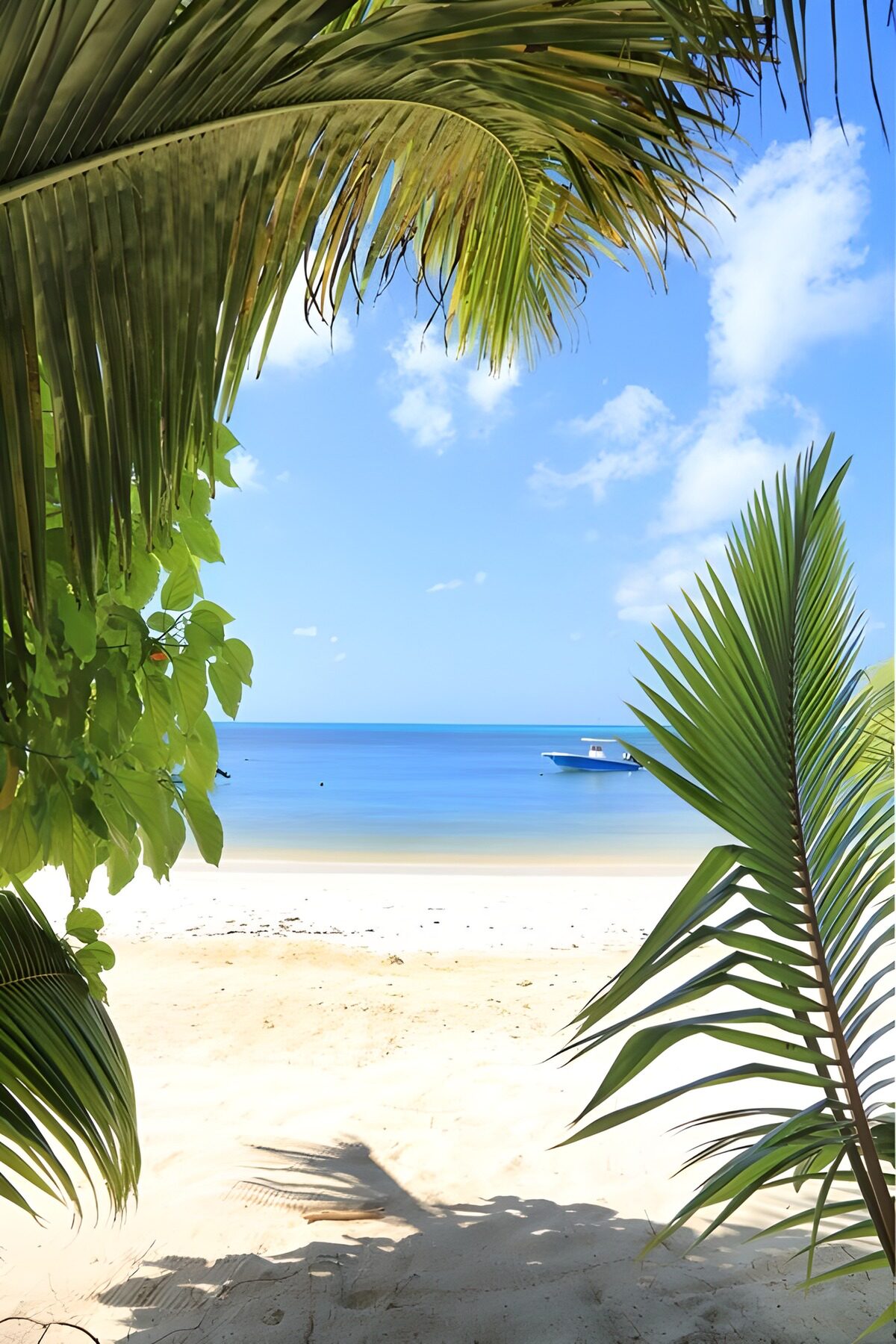 OCUK74853: Tropical Beach Bliss