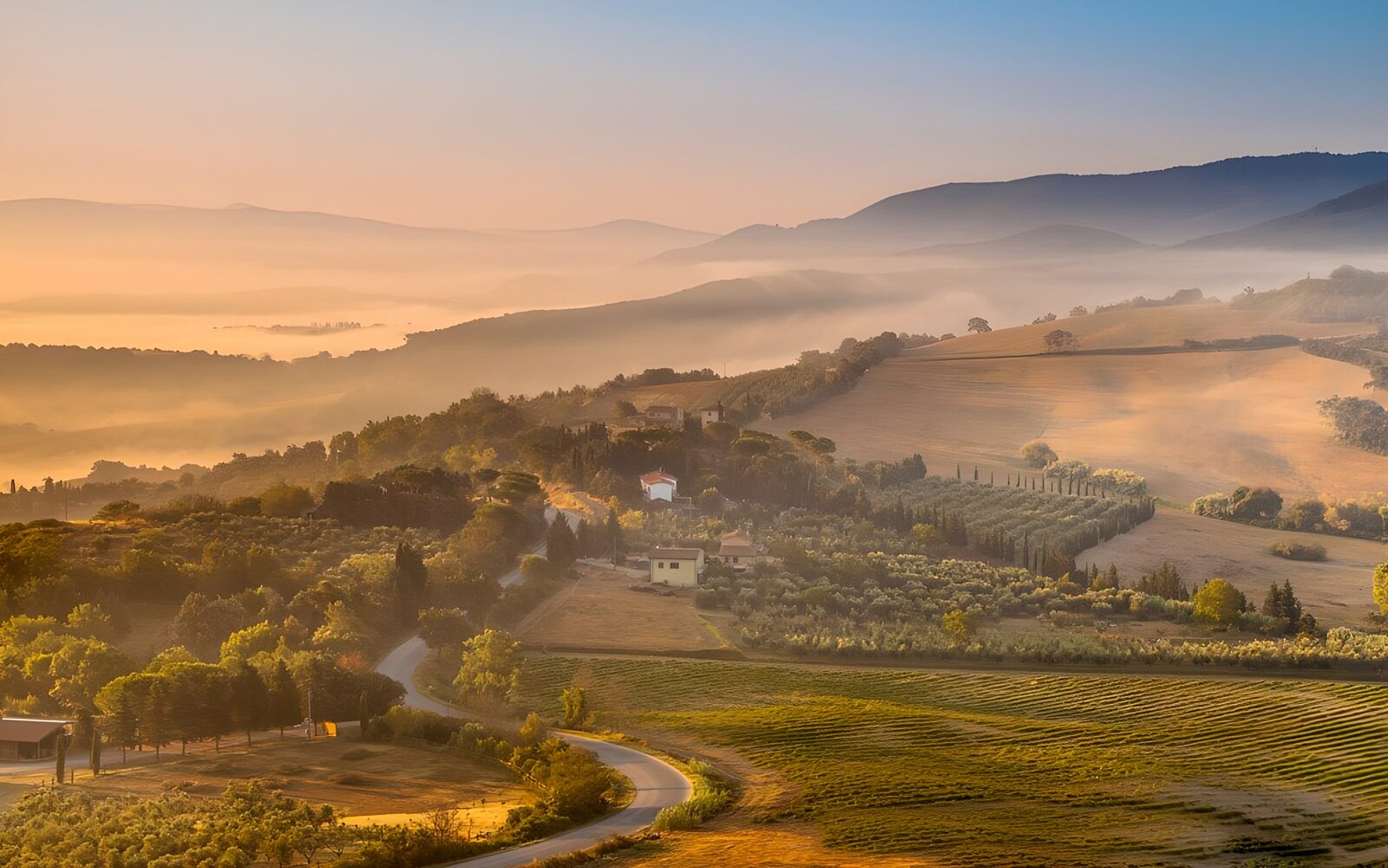 OCUK87196: Serene Morning in the Tuscan Countryside