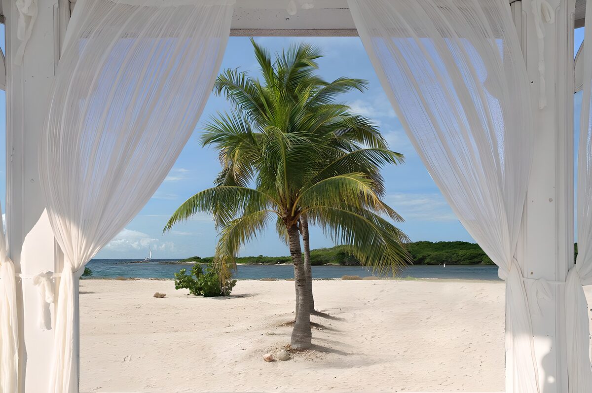 OCUK32388: White waving curtains and palmtrees on beach