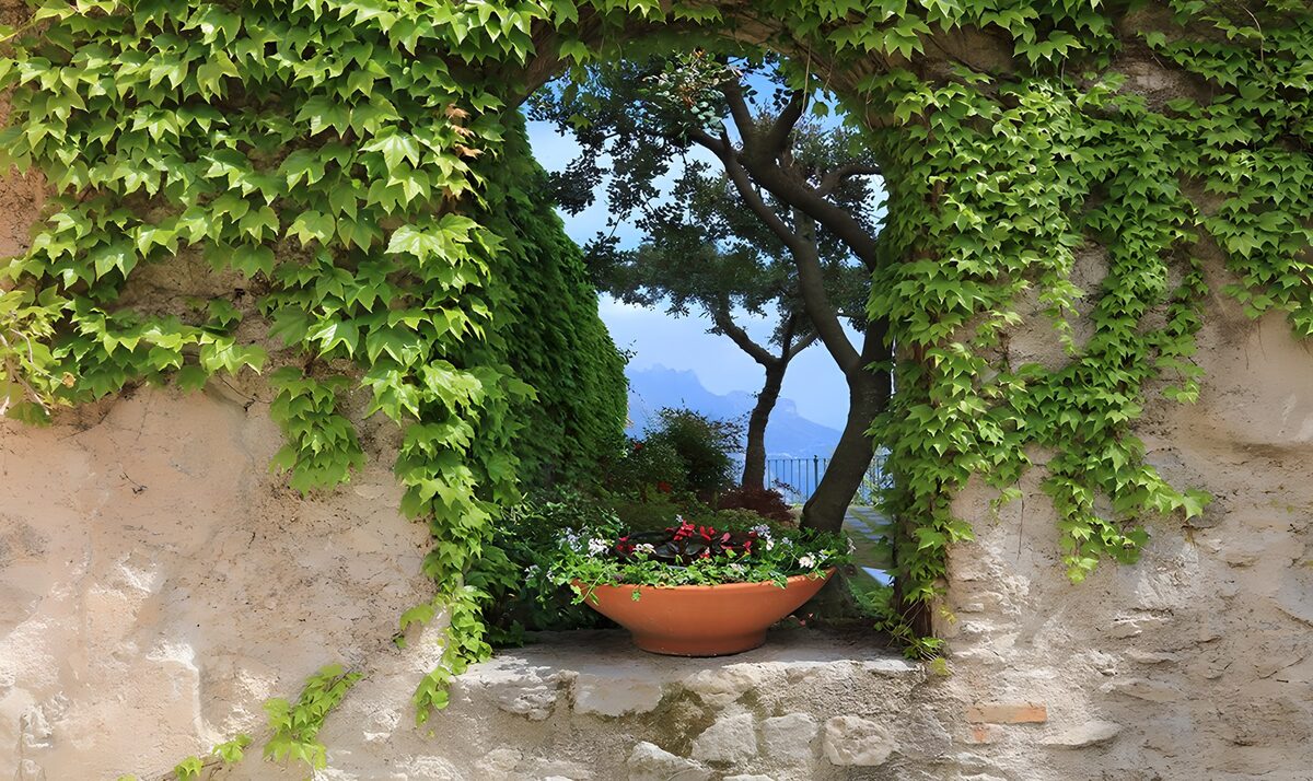 OCUK65091: Window hole in brick wall overgrown with ivy