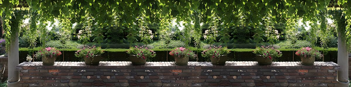 OCUK93162: Serene Garden Oasis with Flower Pots