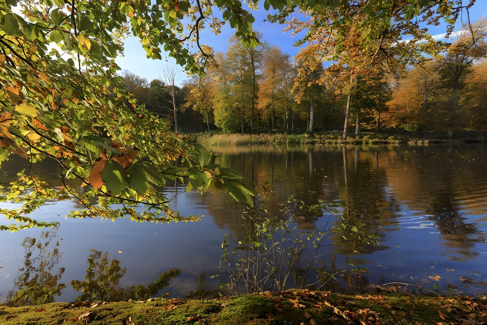 OCUK51636: Pond at "Kasteel Broekhuizen" in "Leersum" 2