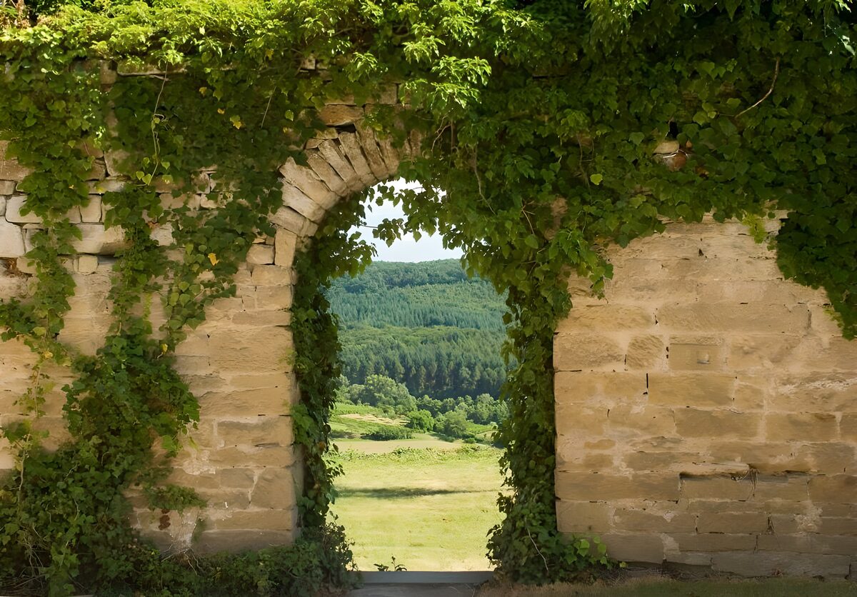 Wall covered with ivies and entrance to the garden