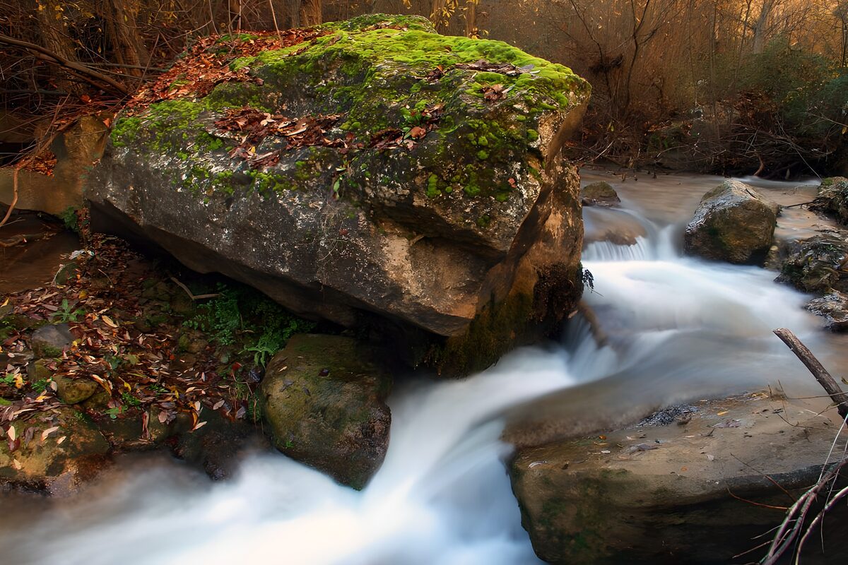 OCUK30284: Tranquil Stream and Mossy Rocks