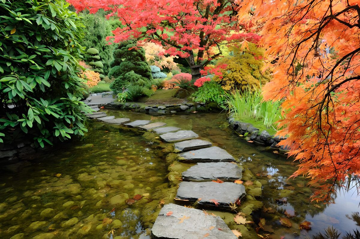 OCUK34401: Vibrant Nature Trail