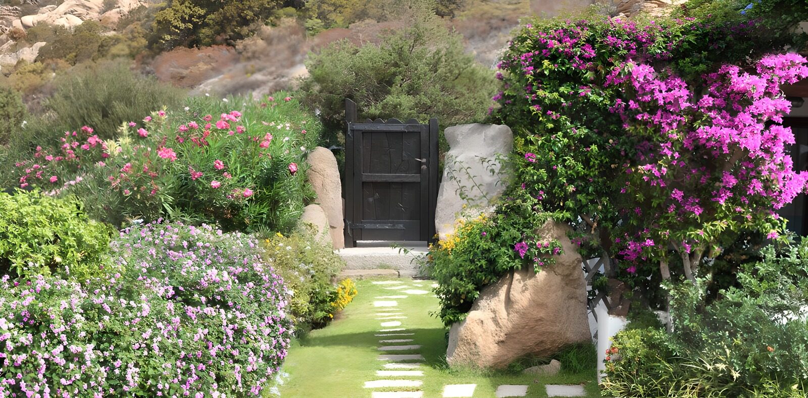 OCUK89434: Garden with many flowers and a pathway to a wooden door
