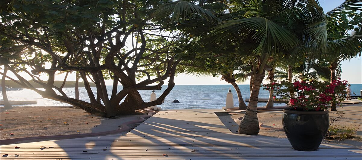 OCUK34969: Tranquil Beachside Escape