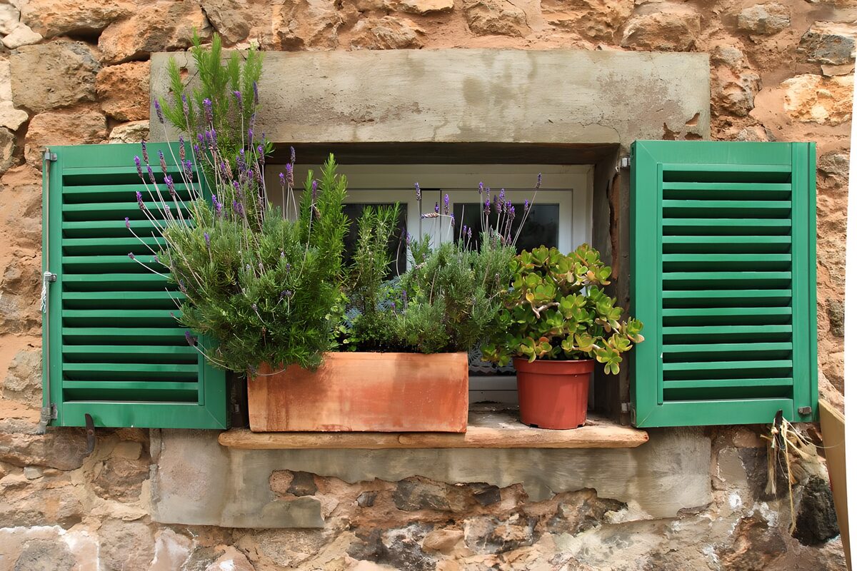 Window with green shutters and flowerpots