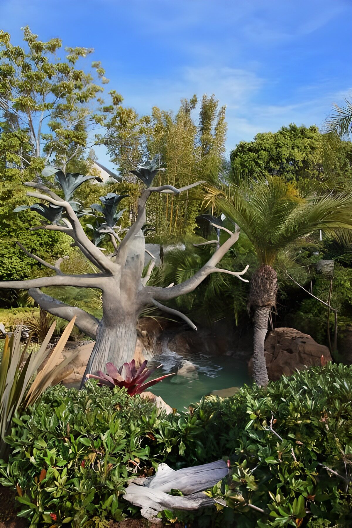 OCUK29120: Palm trees and leafless tree next to waterfall