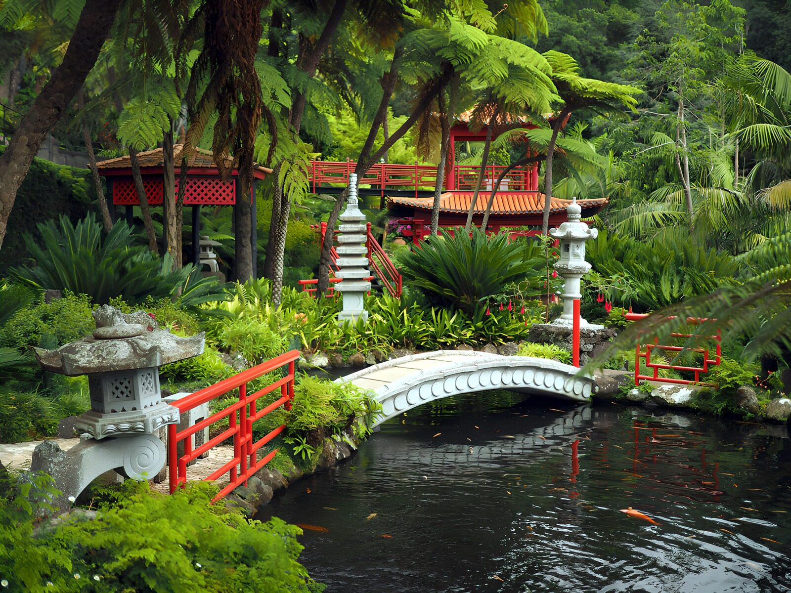 OCUK99449: Tranquil Asian Garden Retreat