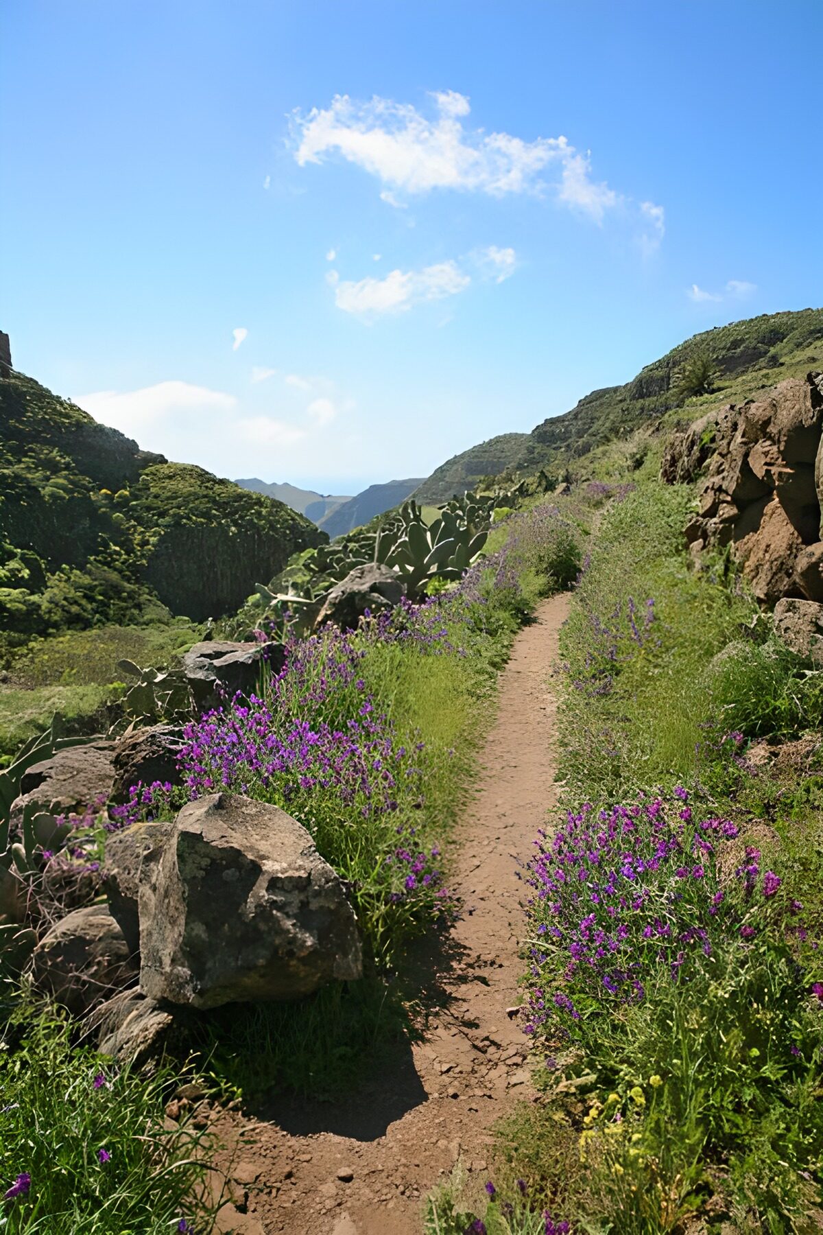 OCUK48425: La Gomera 7