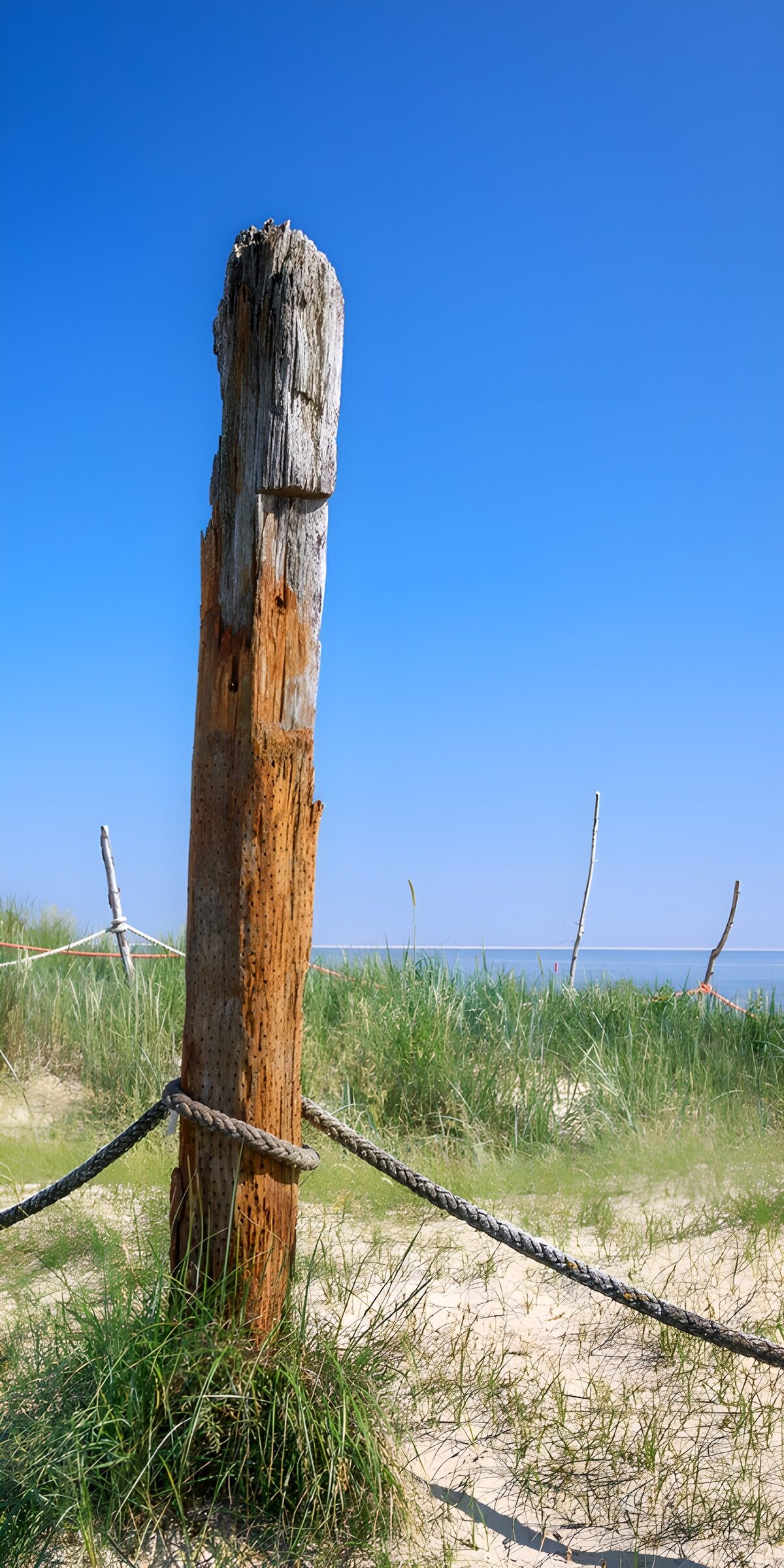 OCUK97617: Weathered Post by the Shore