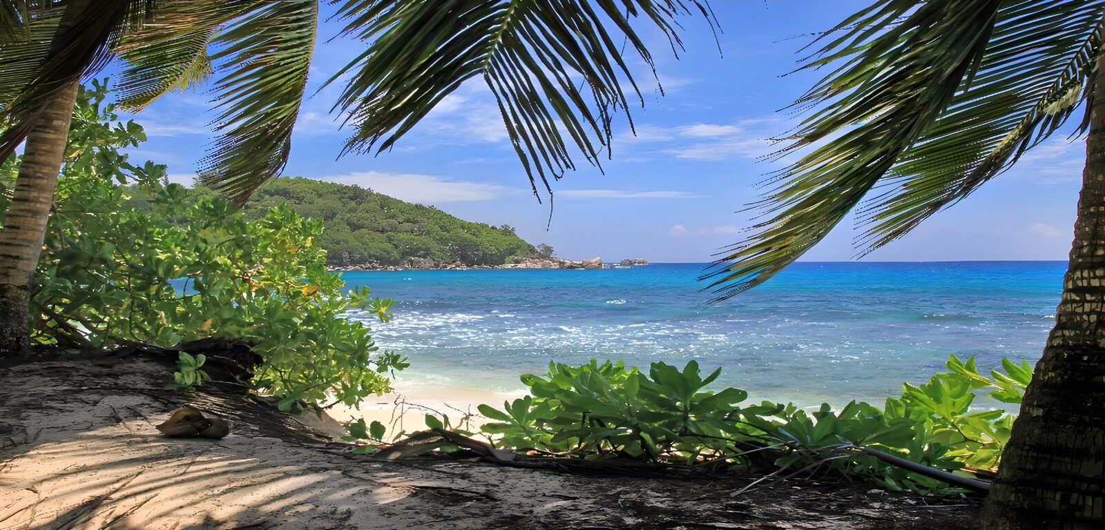 OCUK63482: Tropical Paradise View