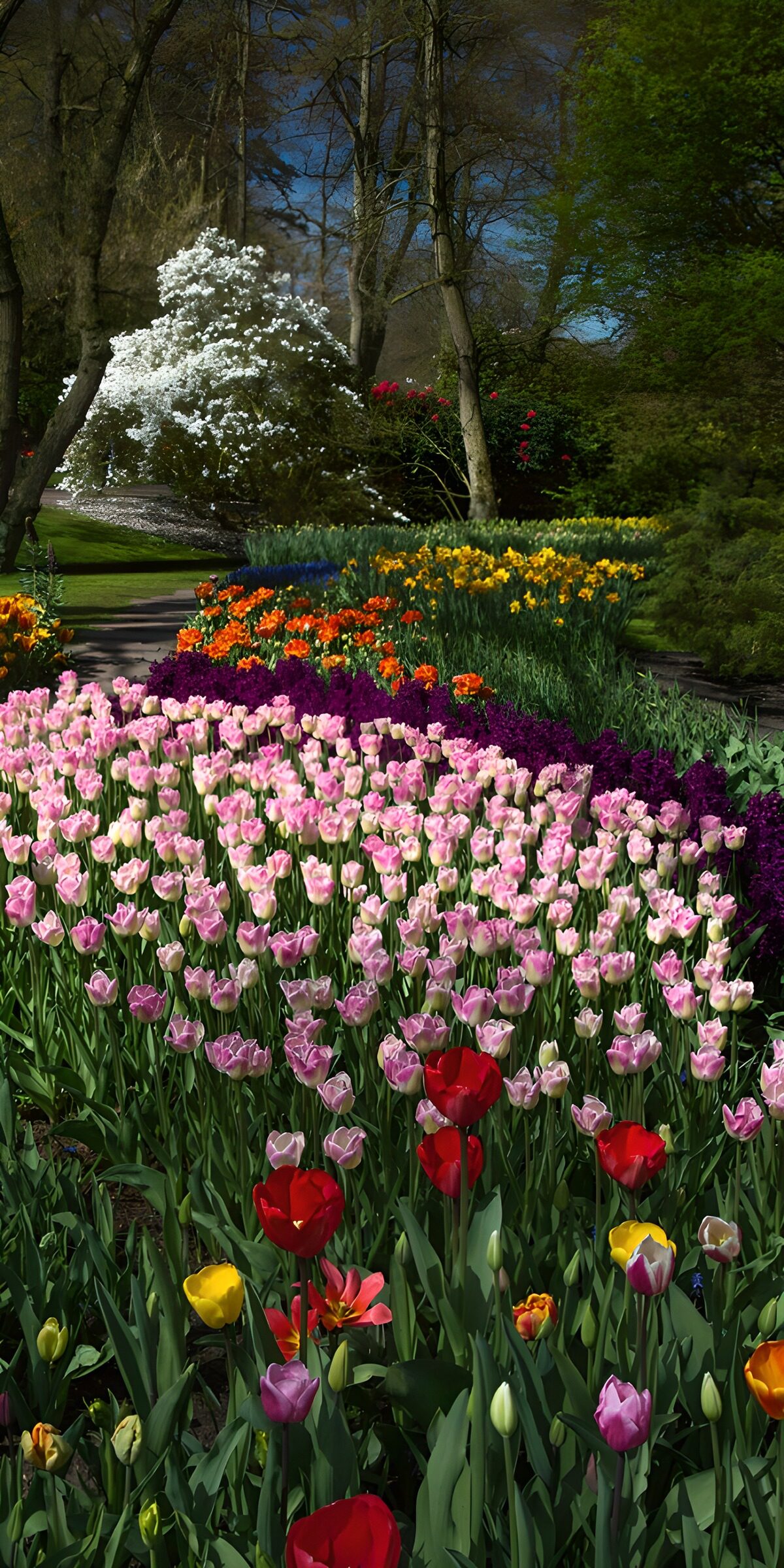 OCUK89362: Vibrant Spring Blossom Display