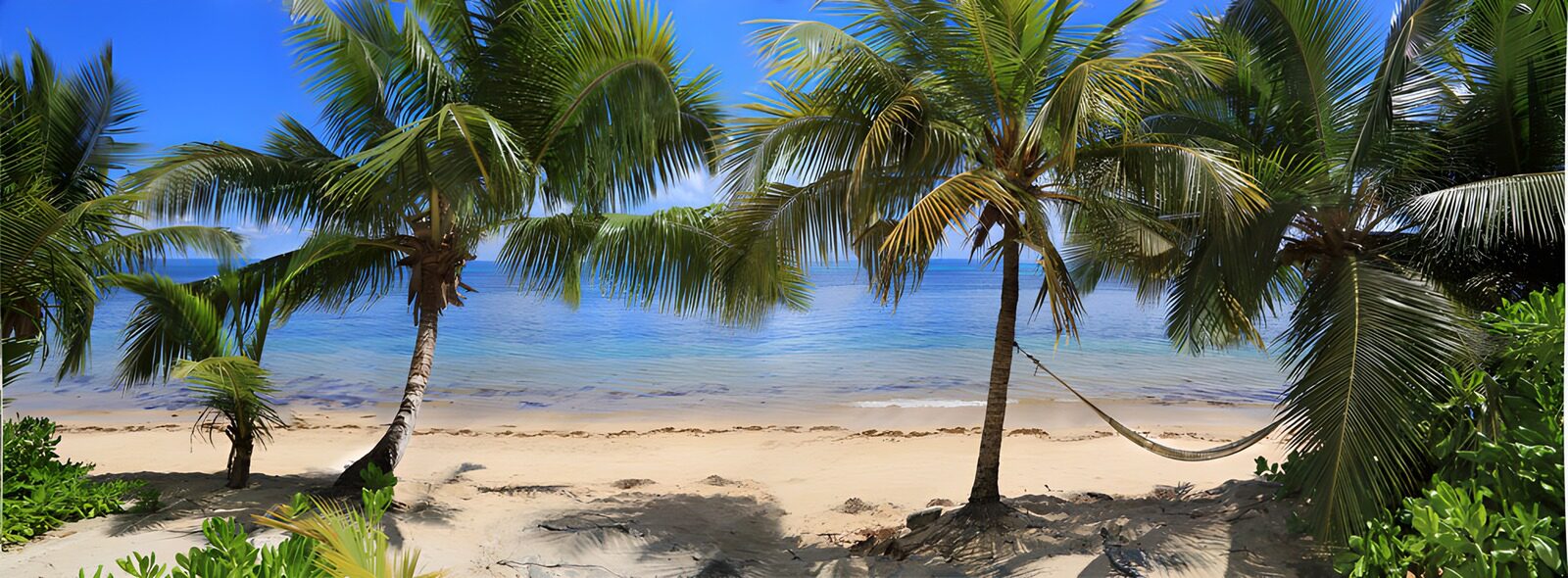 OCUK48028: Tropical Paradise by the Shore