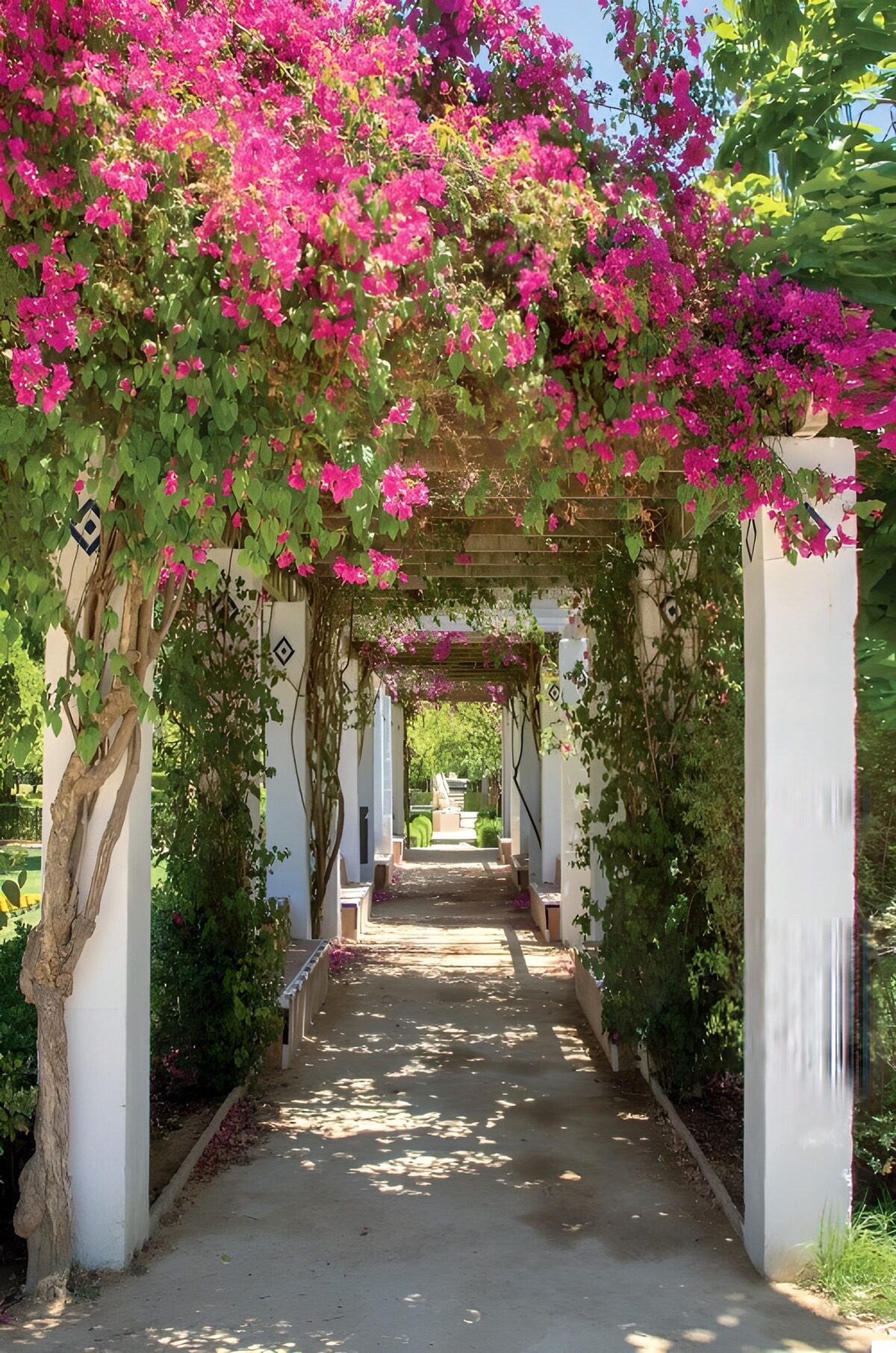 OCUK23910: Blossoming Garden Pathway