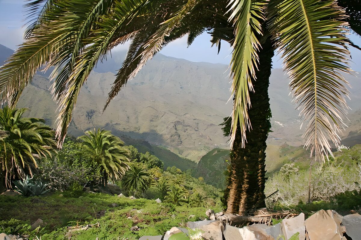 OCUK43420: La Gomera 18