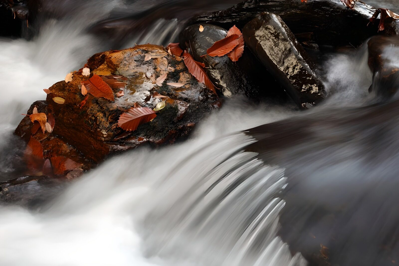OCUK34347: Tranquil Stream with Autumn Leaves