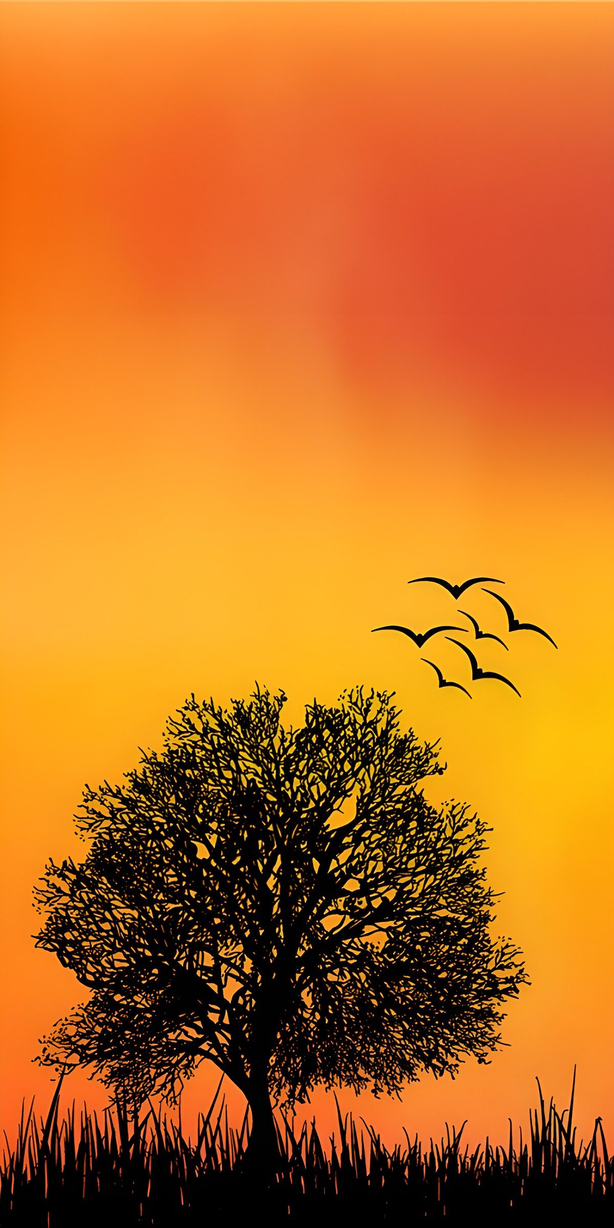 OCUK38331: Serenity at Sunset