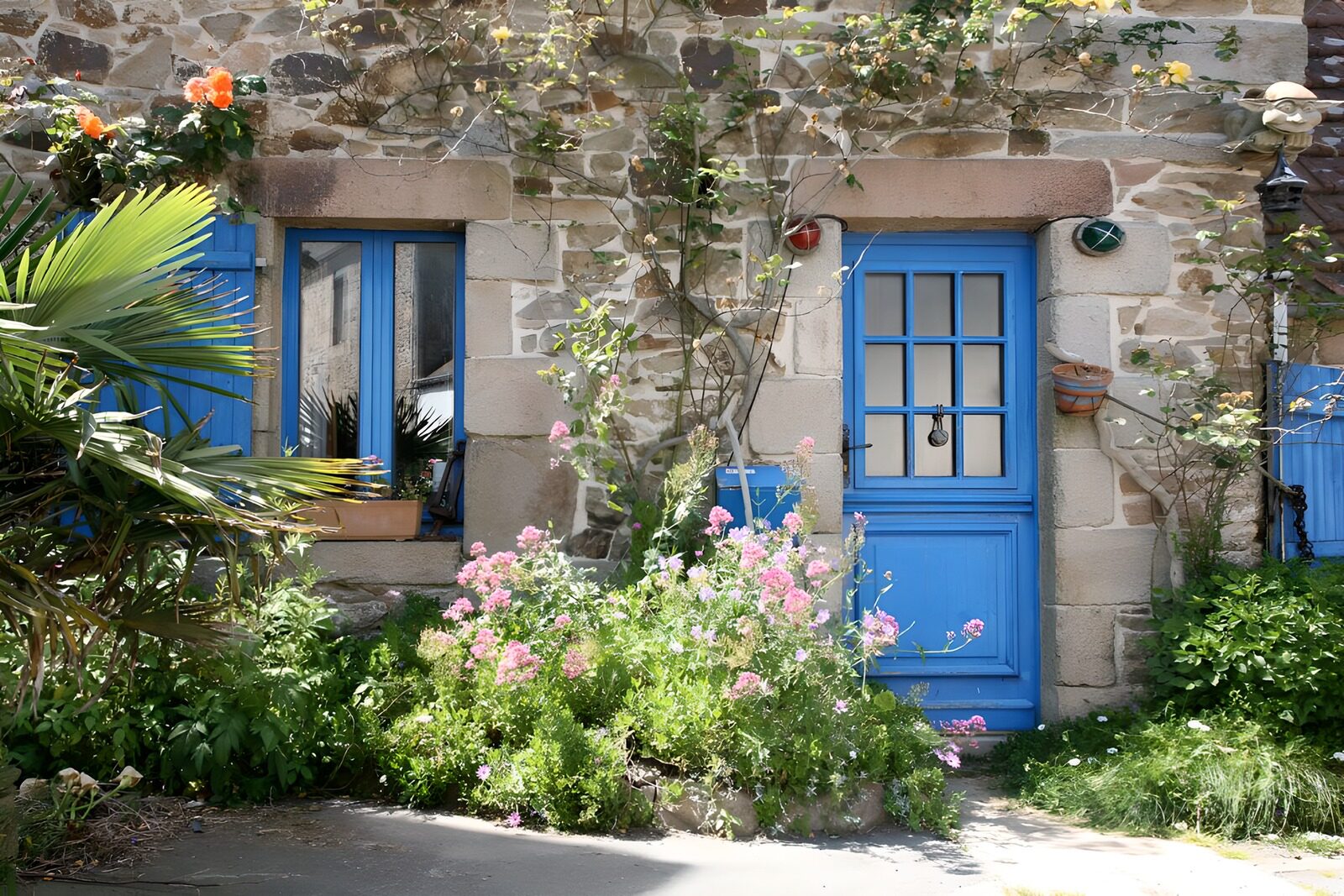 OCUK91142: French cottage with windows , blue shutters , various flowers and plants