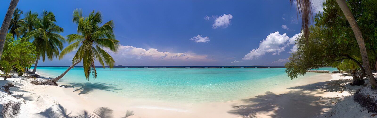 OCUK19385: Idyllic beach with overhanging palm tree