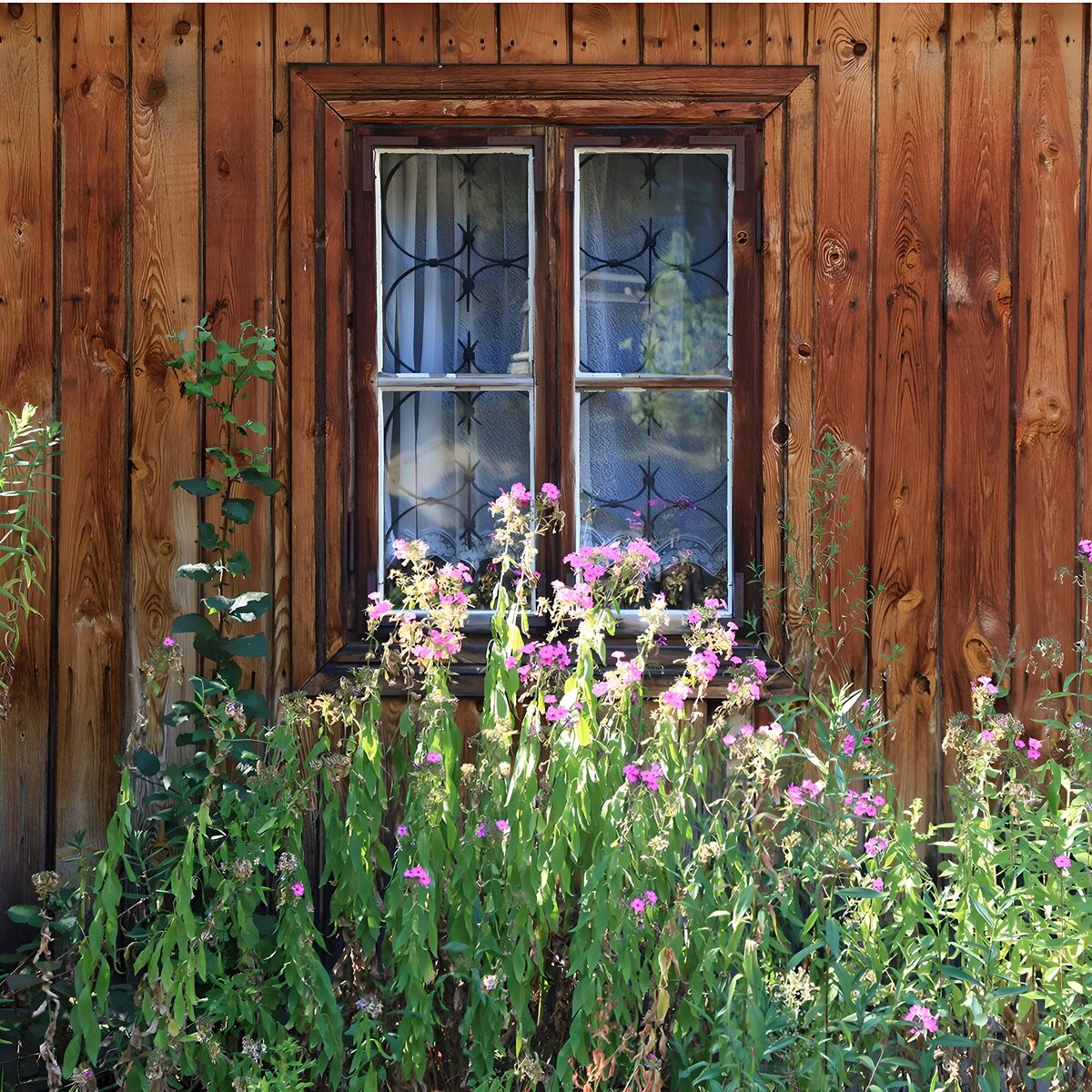 Window in a wooden wall