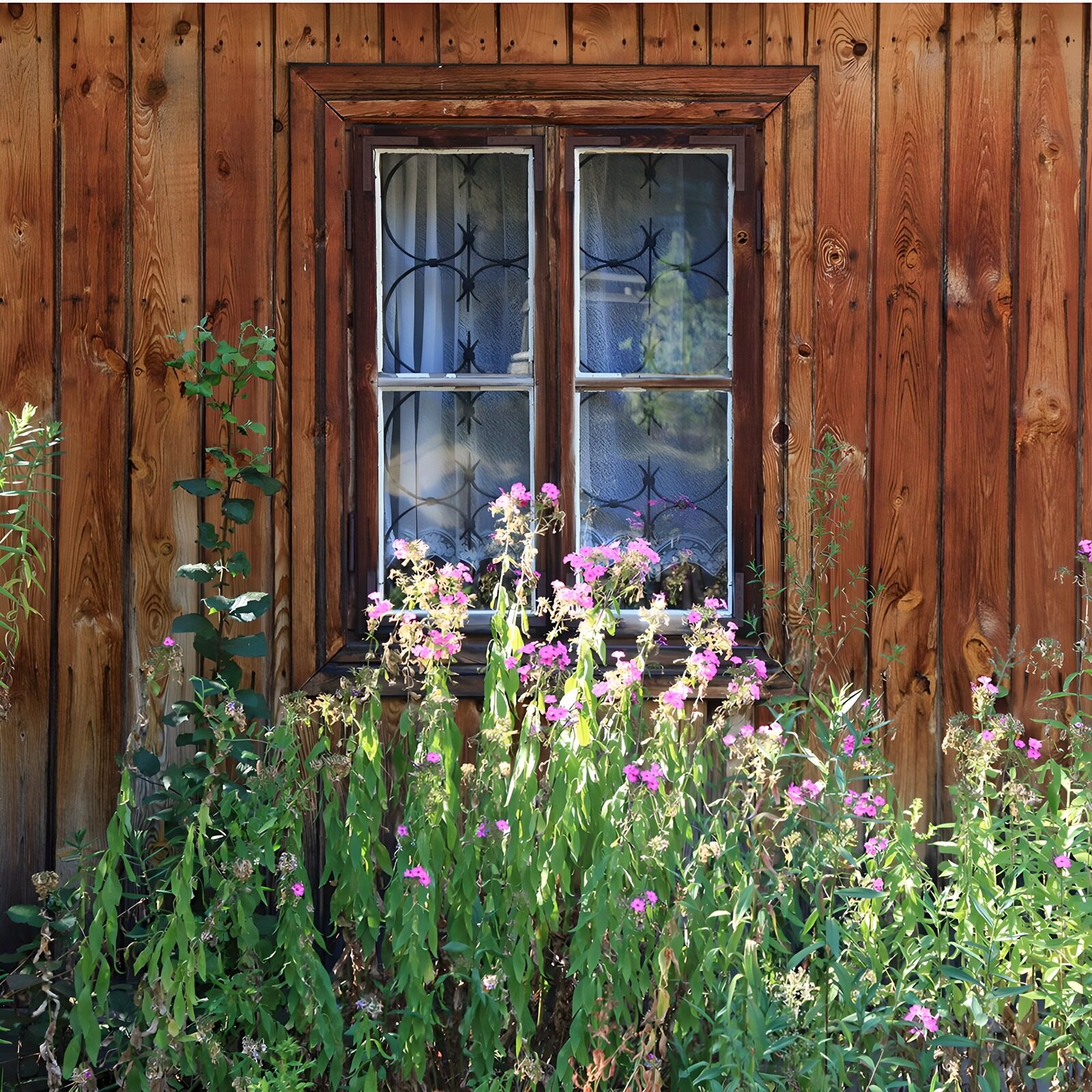 OCUK31193: Window in a wooden wall