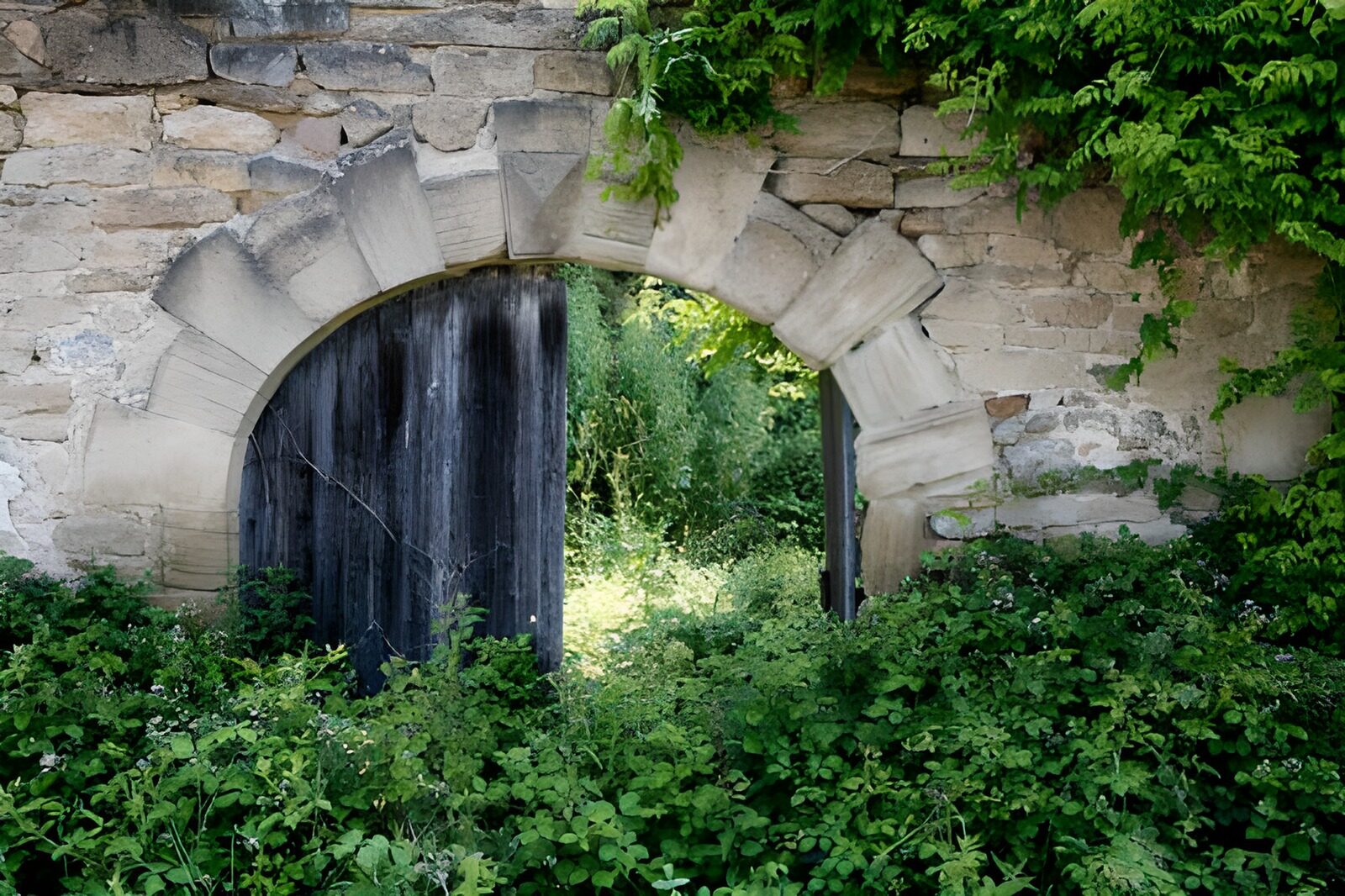 OCUK82898: Door in gate with wall and green foliage 1