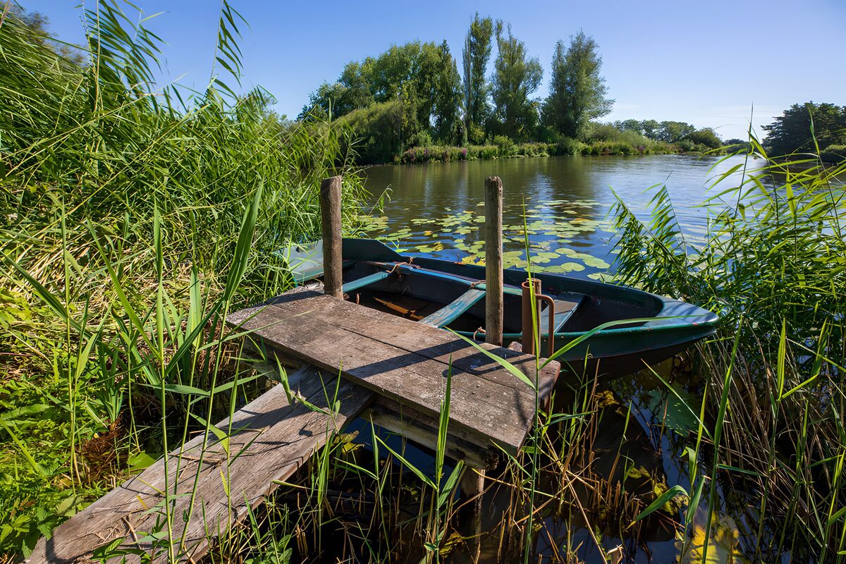 Serene Lakeside View with a Boat