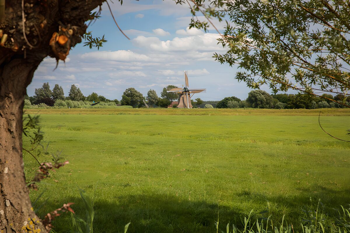 OCUK89547: Serene Windmill in Green Pastures