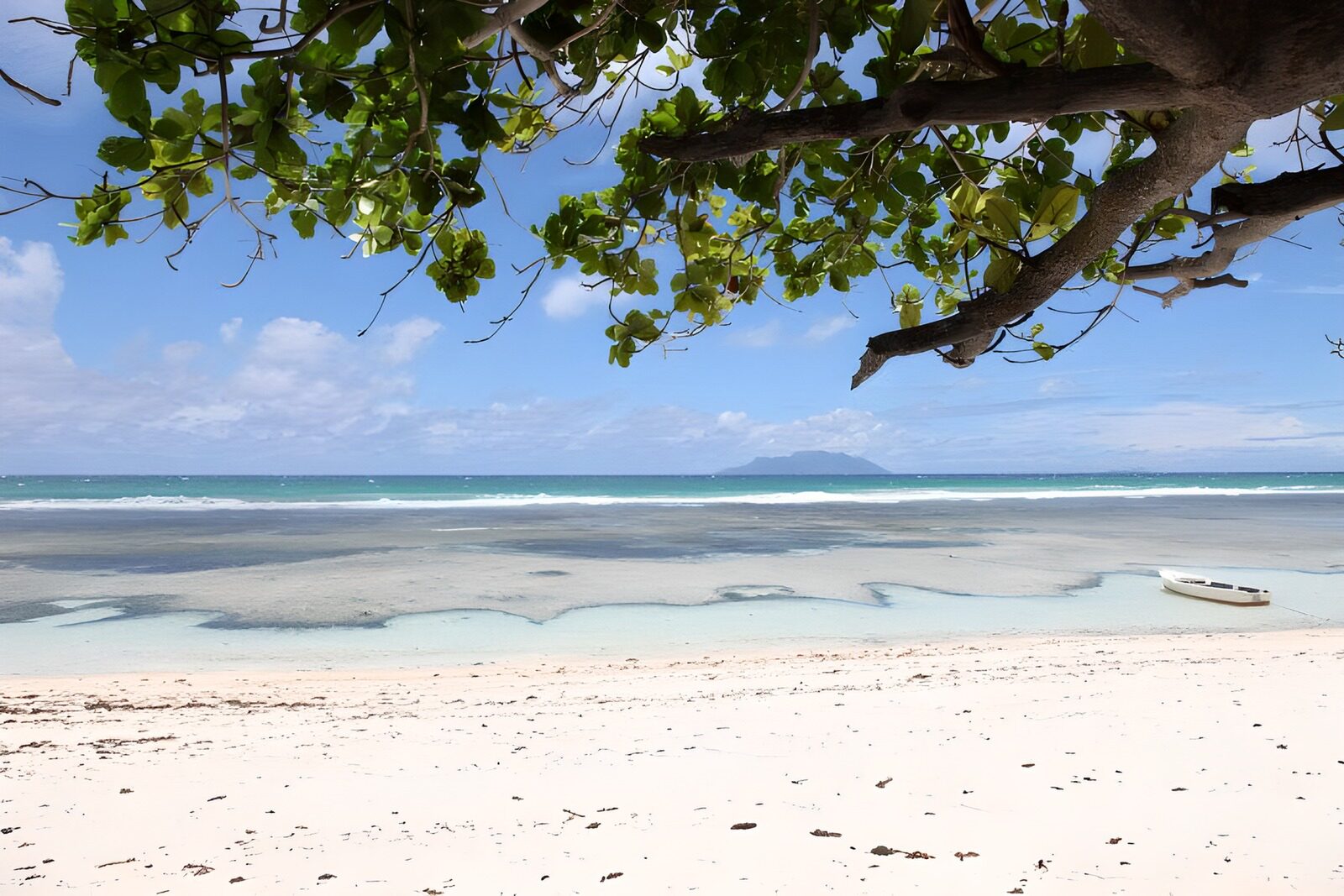 OCUK40283: Serene Tropical Beach Scene