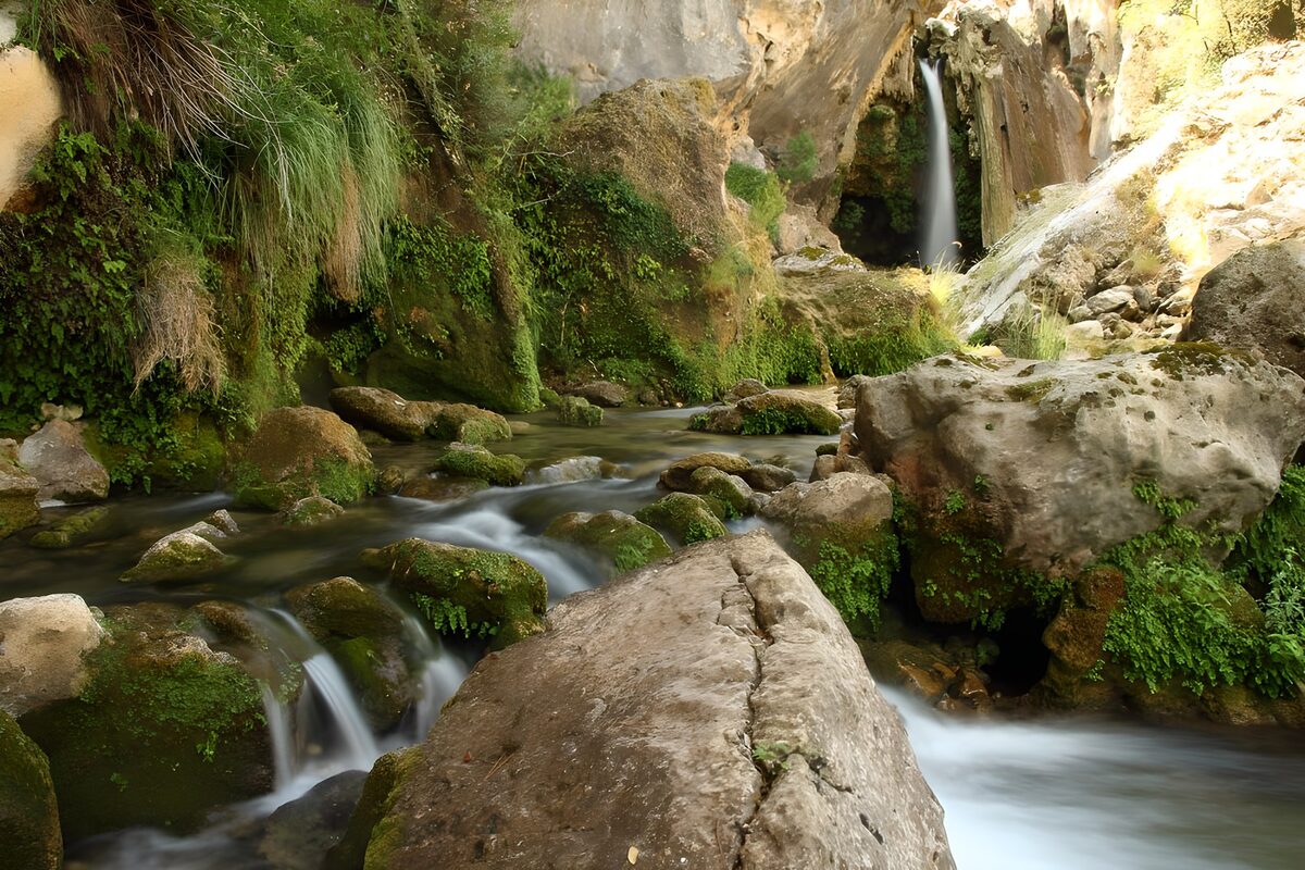 OCUK27024: Serene Stream in Lush Greenery