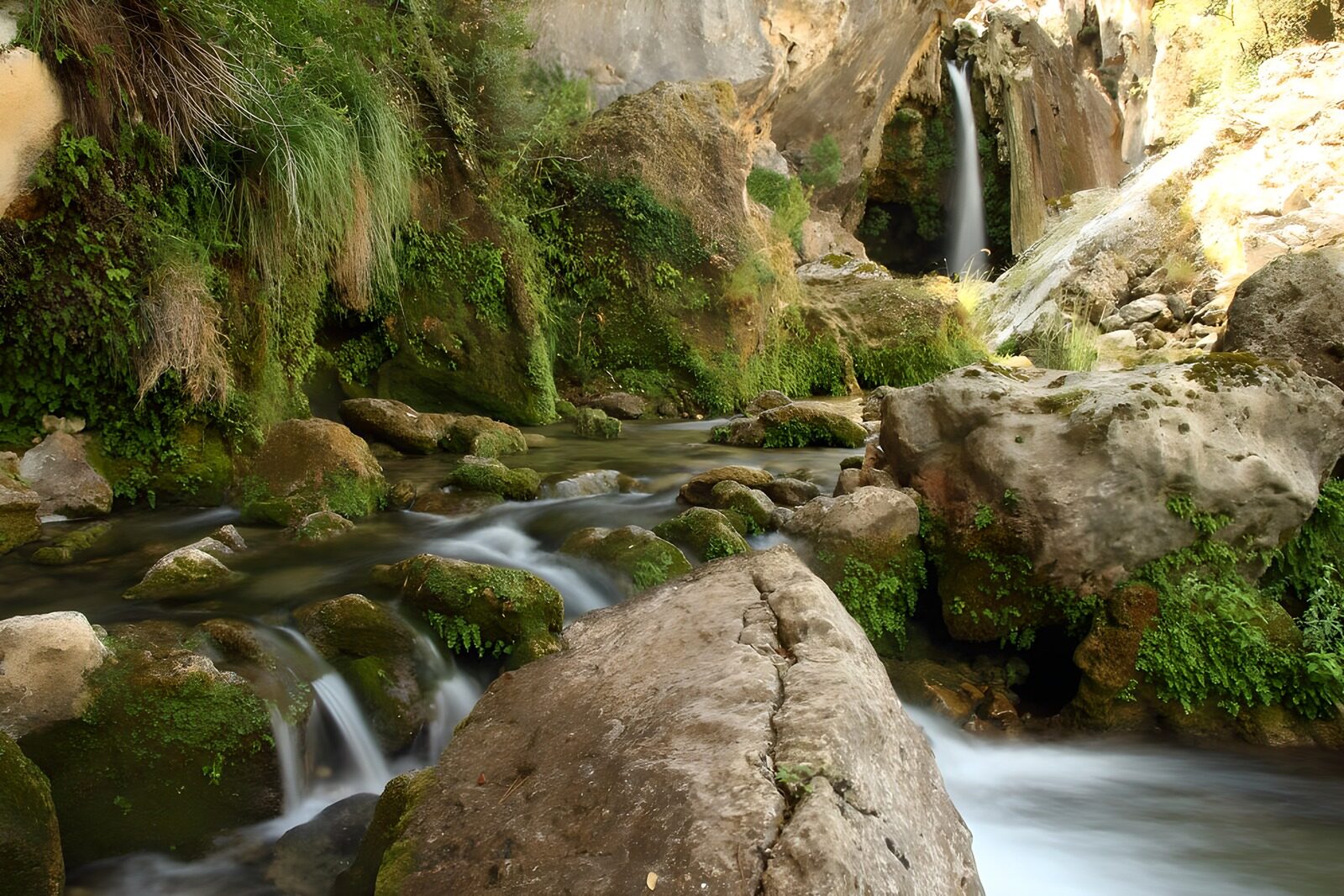 OCUK27024: Serene Stream in Lush Greenery