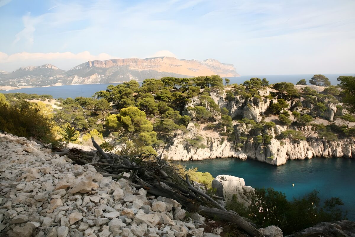 OCUK72599: Frech Canyons in Cassis version 8