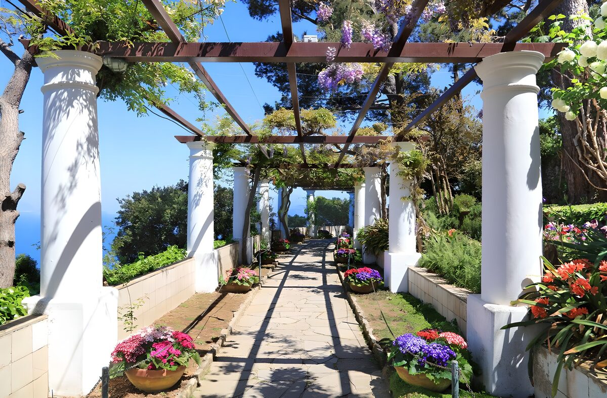 OCUK47950: Terrace in the sun with pergola and white pillars