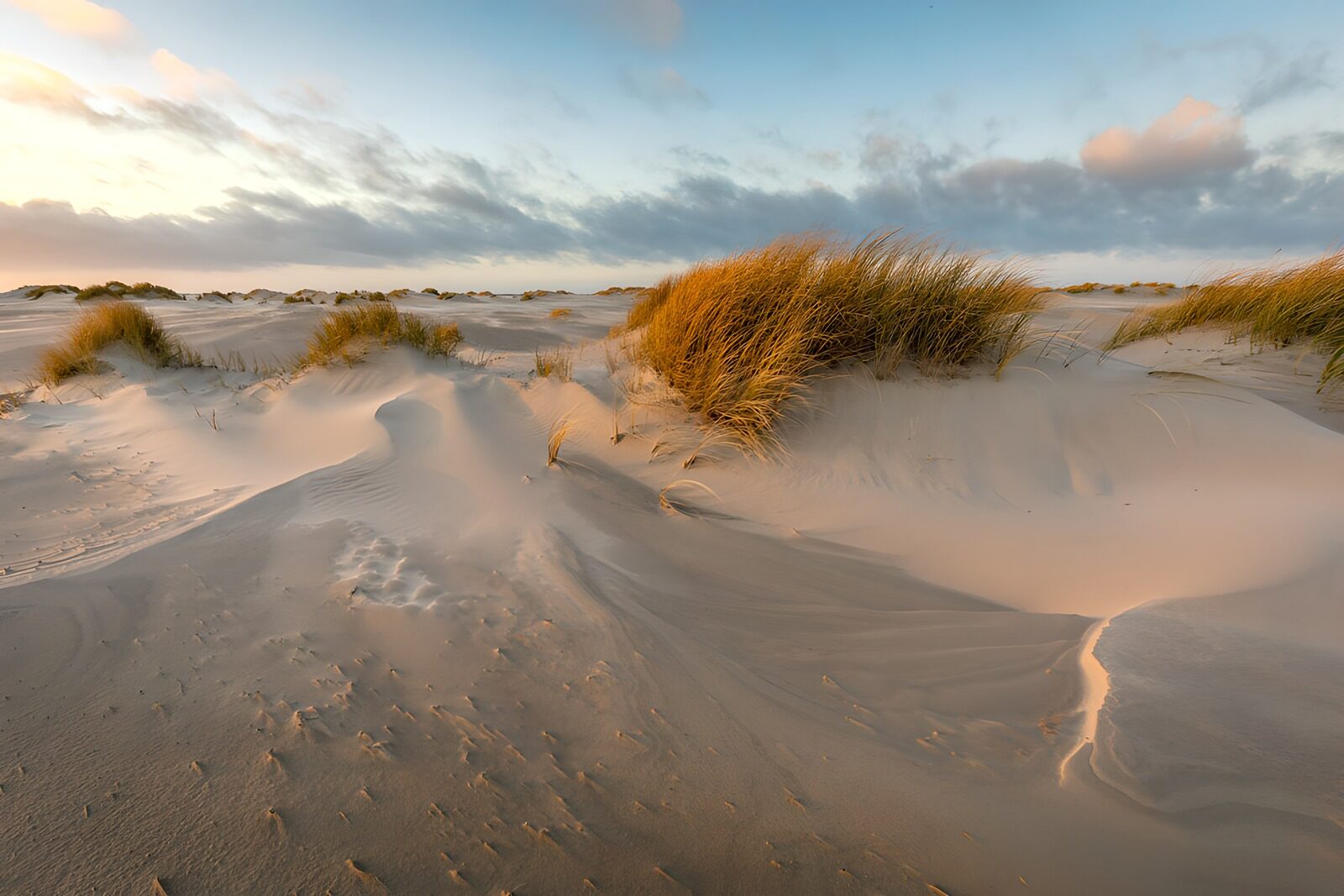 OCUK57325: Serene Dunes at Sunset