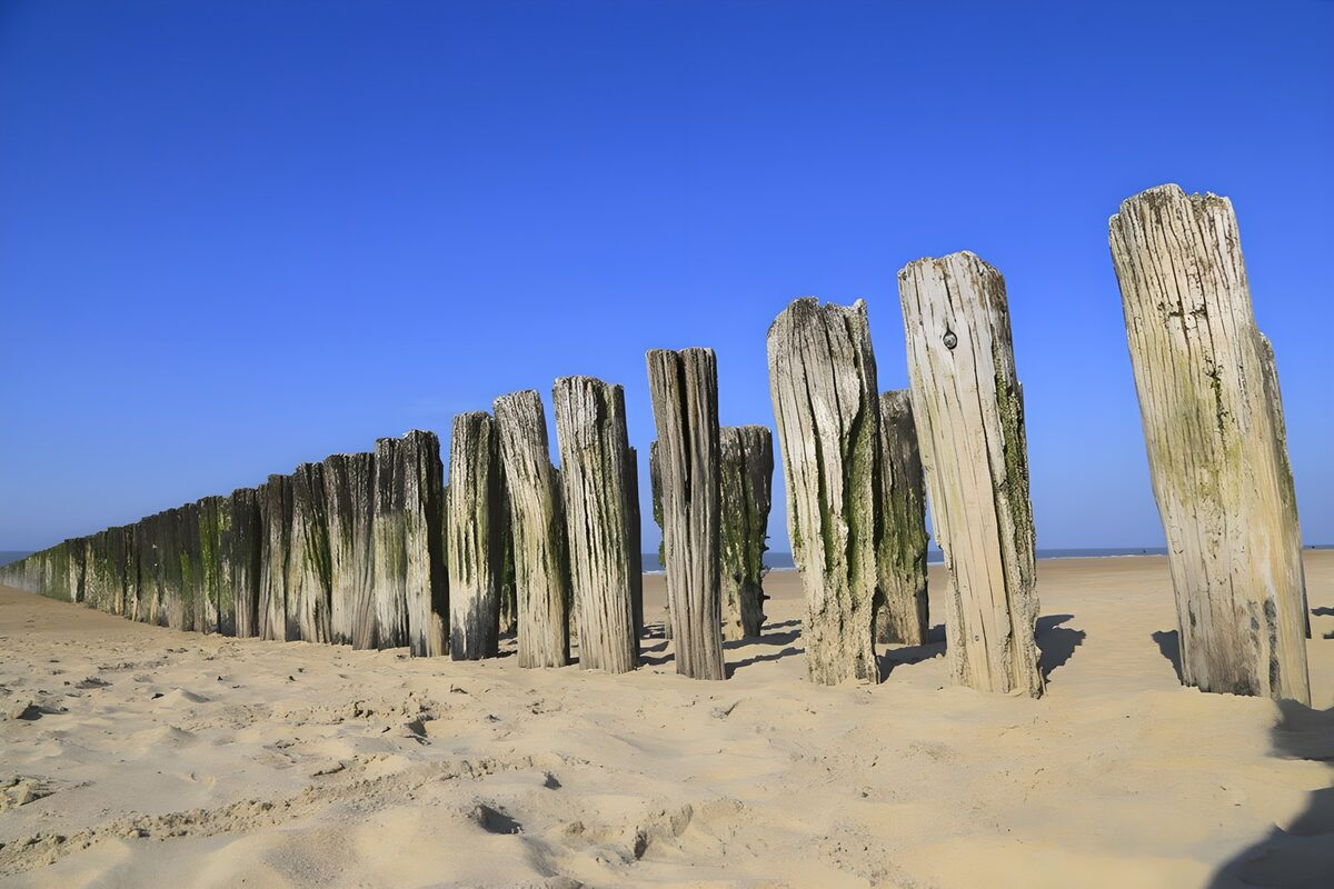 OCUK36484: Weathered Poles by the Beach