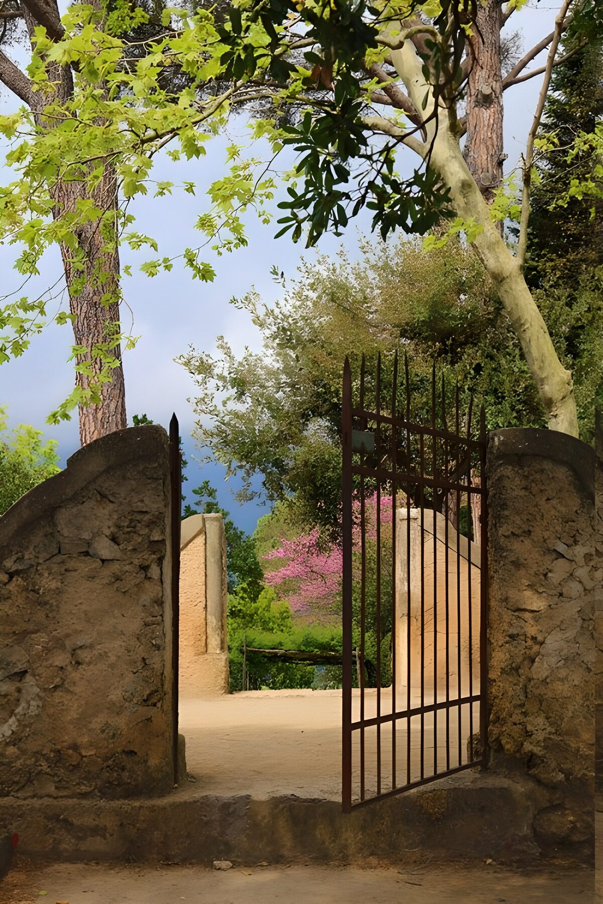 OCUK12345: Serene Gate to Nature's Embrace