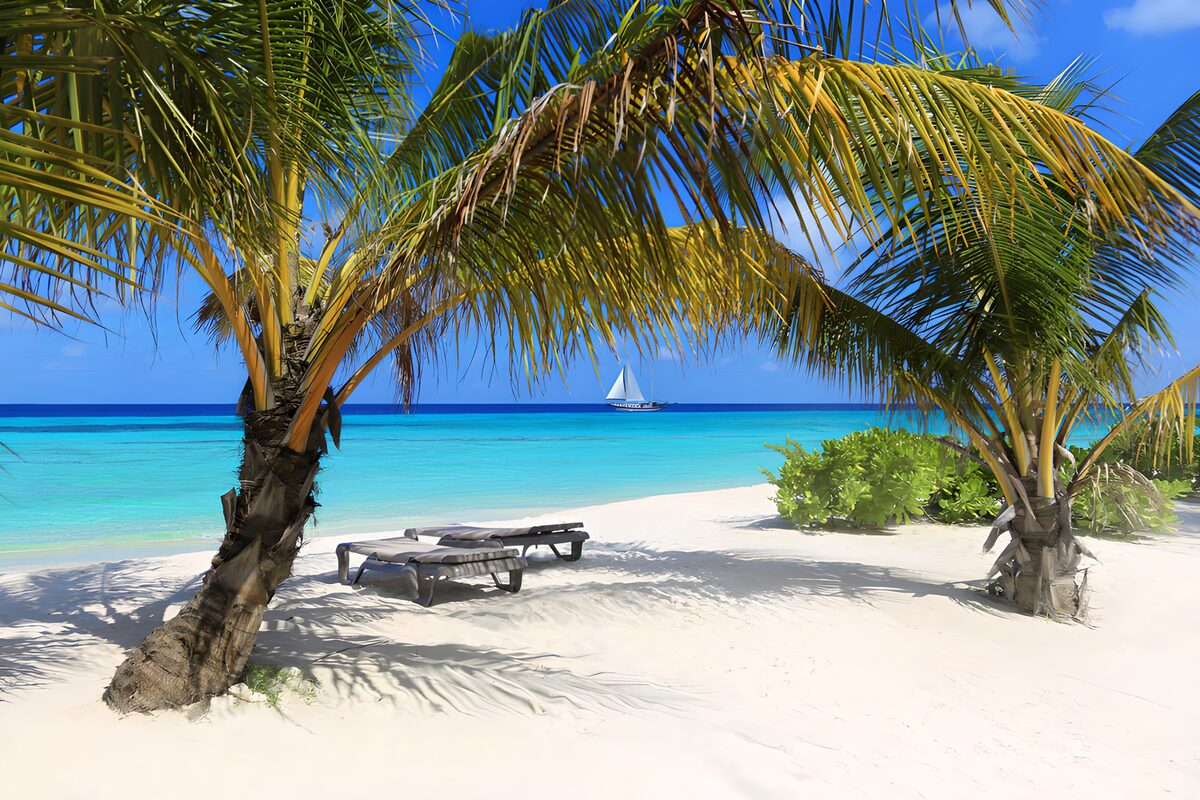 OCUK40214: Tropical Paradise by the Ocean