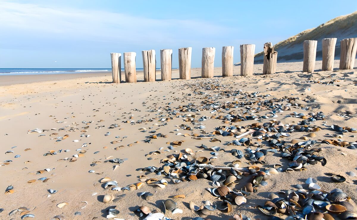 OCUK98185: Shelfs and beach poles at a beach in "Zeeland"