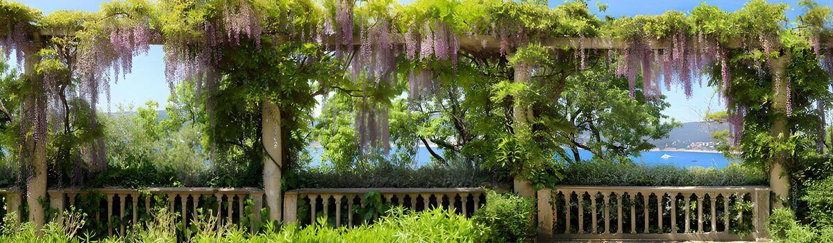 OCUK19847: Serene Wisteria Garden Overlooking Water