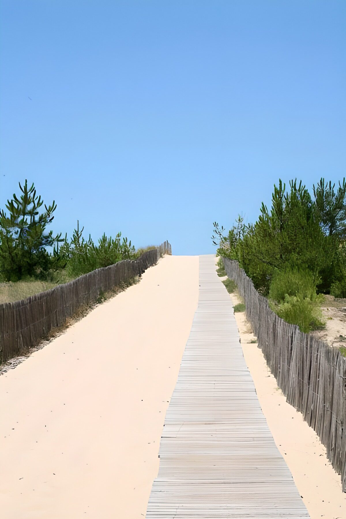 OCUK49040: Access to the beach over the dunes and wooden path (decking)
