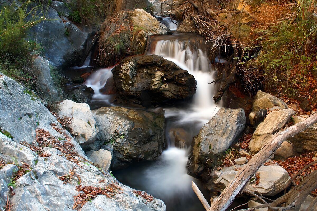 OCUK65982: Tranquil Stream in Nature