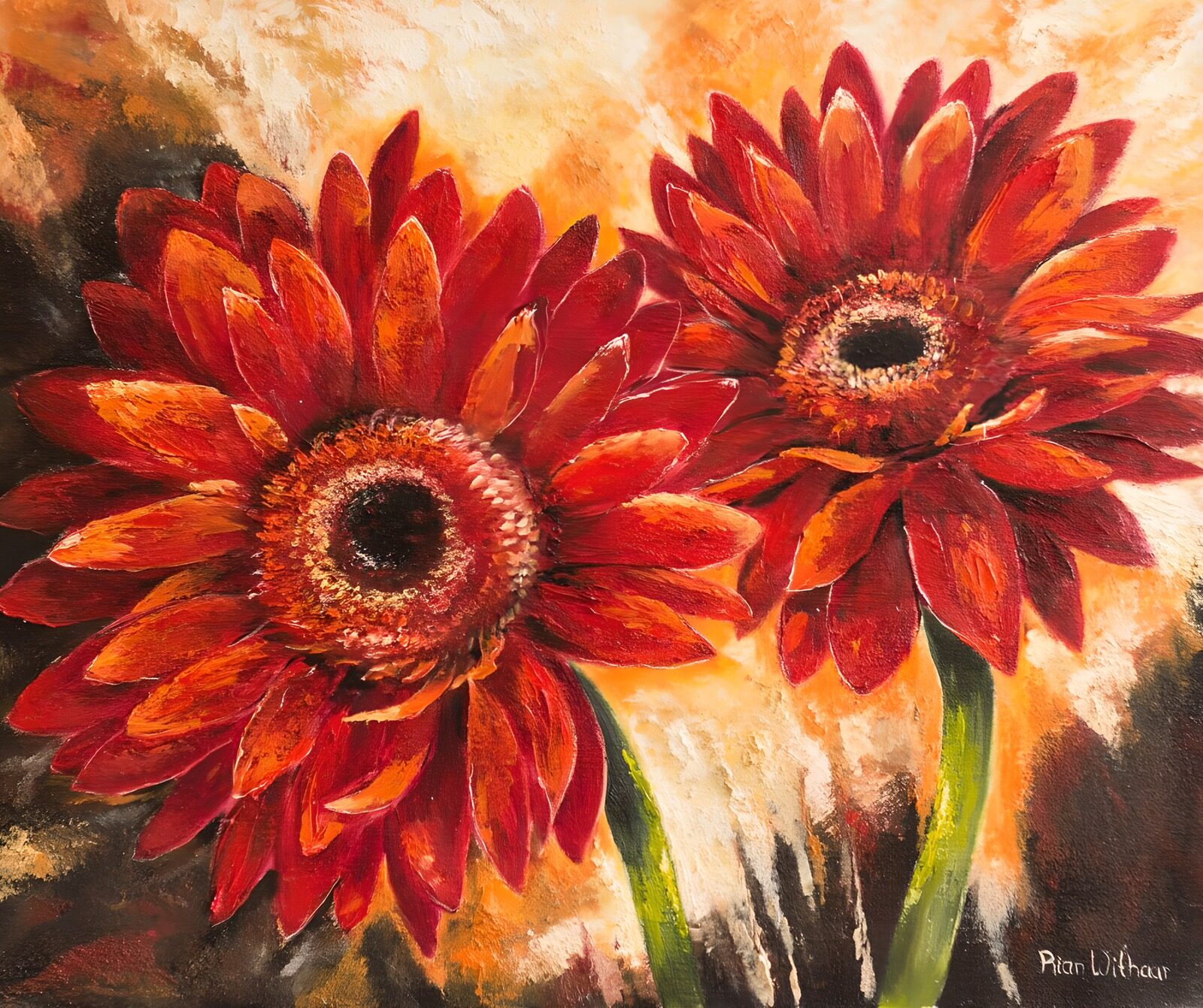 OCUK42627: Vibrant Red Gerbera Daisies