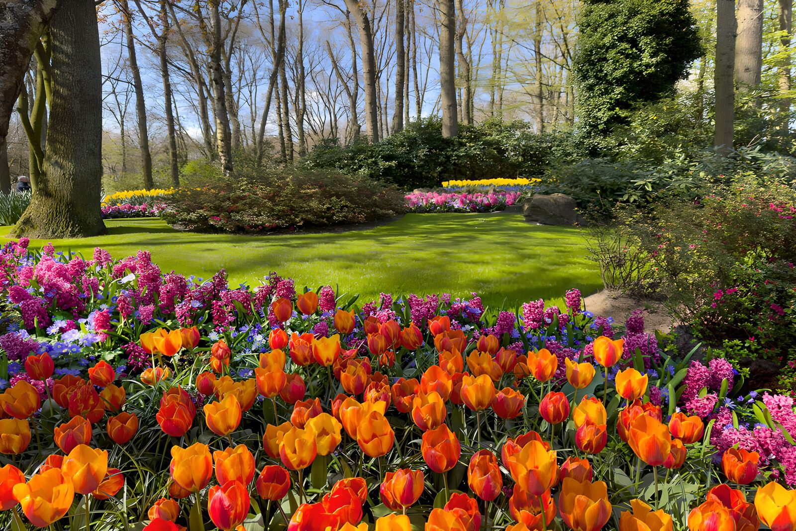 OCUK93213: Vibrant Spring Flower Garden