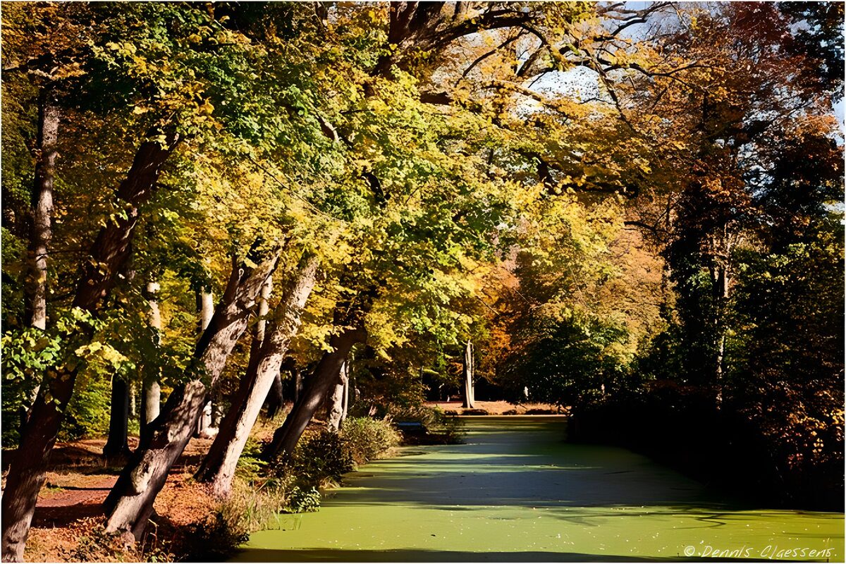 OCUK42483: Serene Autumn Reflections