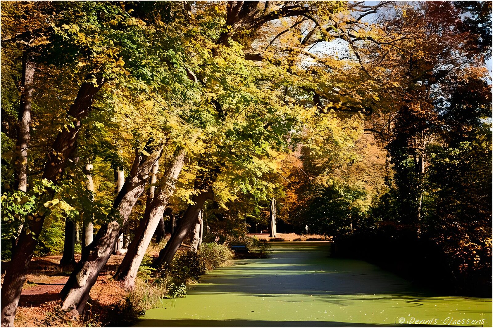 OCUK42483: Serene Autumn Reflections
